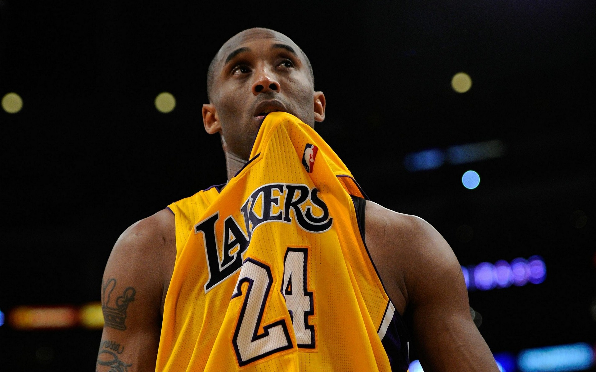 就是他们多 就是他们多