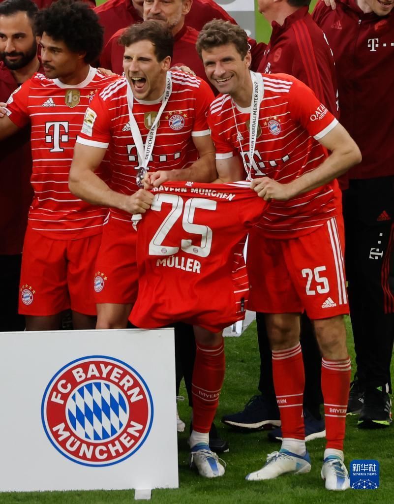 信力自然被 信力自然被